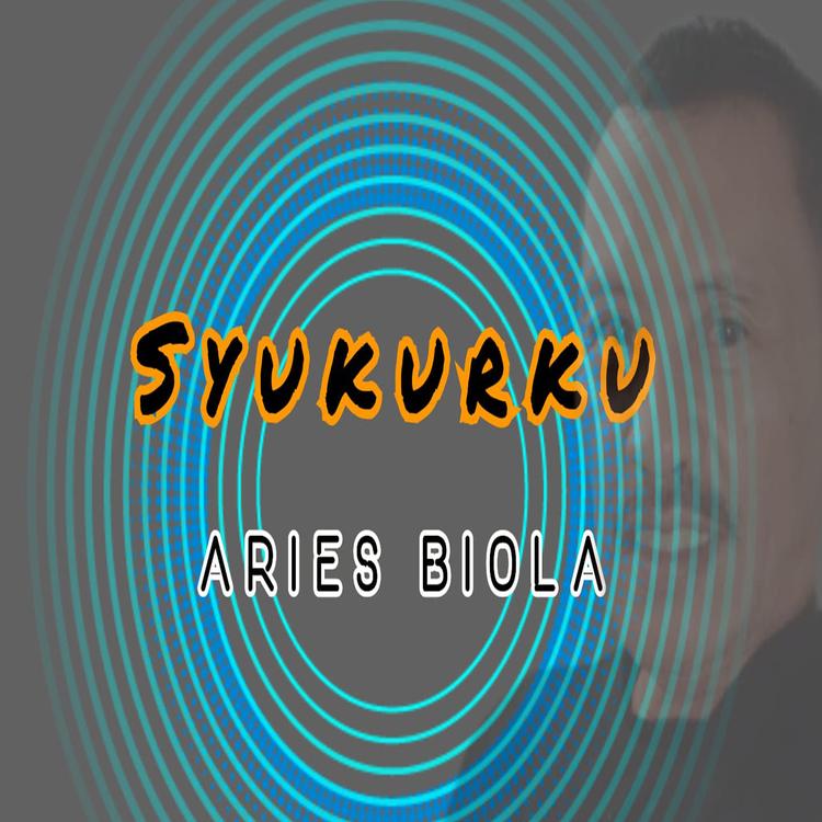 Aries Biola's avatar image