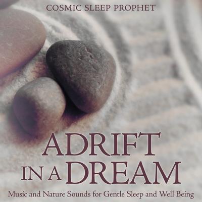 Asleep in the Rainforest By Cosmic Sleep Prophet's cover