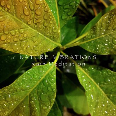 Gentle Rain And Thunder By Nature Vibrations's cover