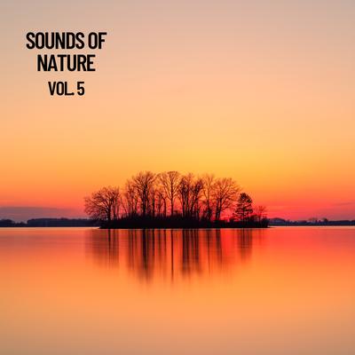 Forest Summer By Weather and Nature Recordings, Nature Vibrations, Nature Sounds Nature Music's cover