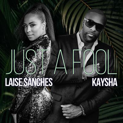 Just a Fool (Snake Dizzy Remix) By Laise Sanches, Snake Dizzy, Kaysha's cover