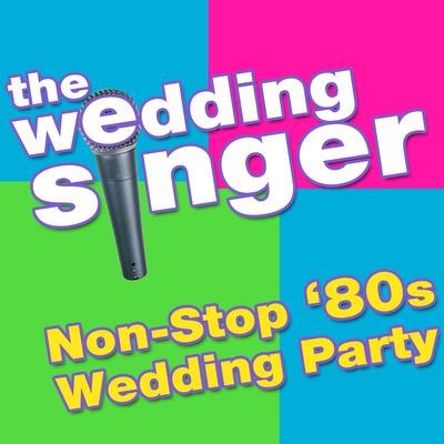 Girls Just Want To Have Fun (Made Famous by Cindy Lauper) By The Wedding Singer's cover