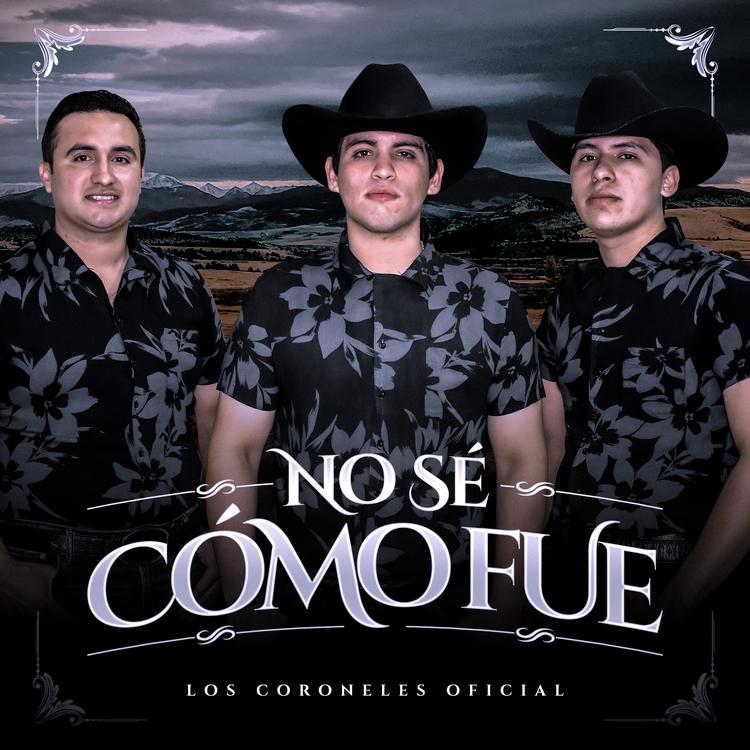 Los Coroneles Oficial's avatar image