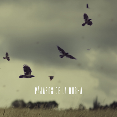 Pájaros De La Ducha's cover