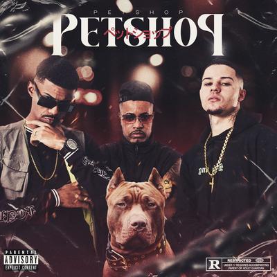 Petshop By Mc DG da Coruja, PVHITS, DJ BUNE, kP''s cover