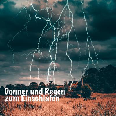 Donner Und Regen Zum Einschlafen's cover