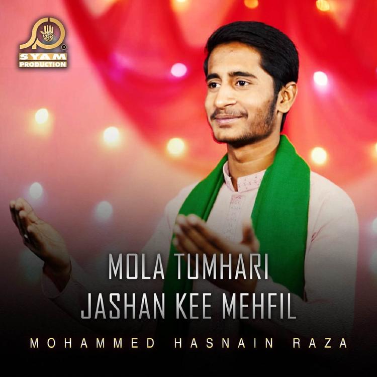 Mohammed Hasnain Raza's avatar image