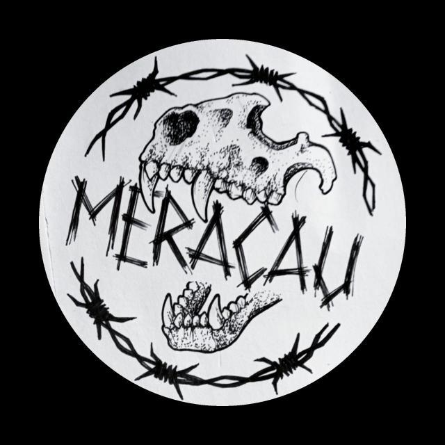 MERACAU's avatar image