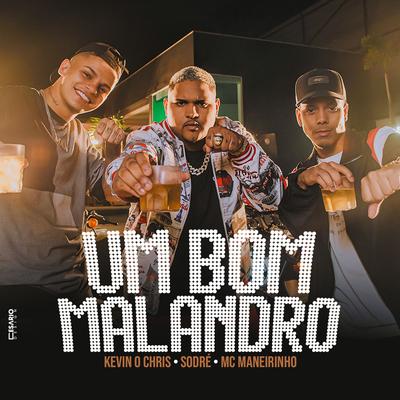 Um Bom Malandro (Versão Especial)'s cover