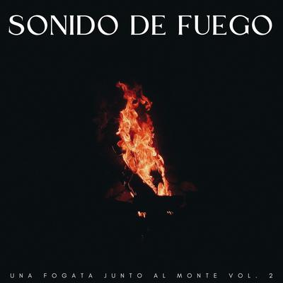 Combustible Ardiente De Fuego's cover