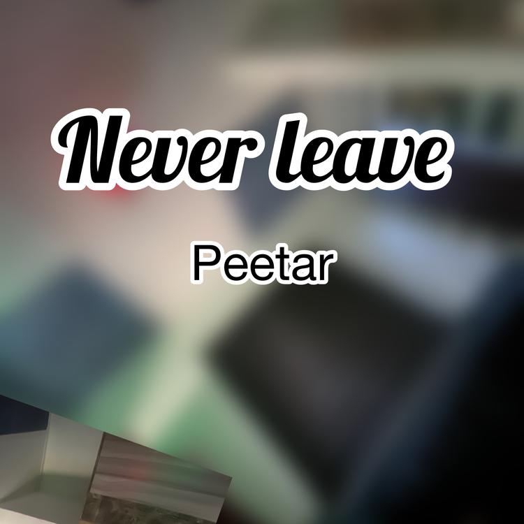 PEETAR's avatar image