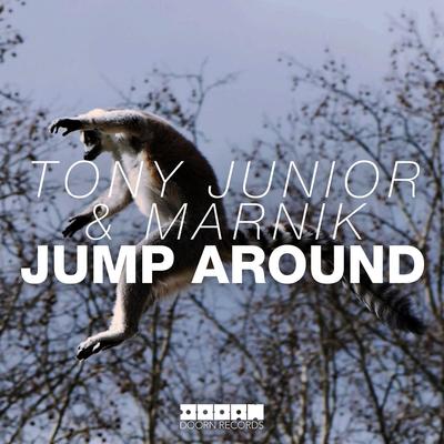 Jump Around's cover