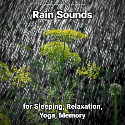 Rain Sounds for Relaxation Pt. 77 By Rain Sounds, Nature Sounds, Regengeräusche's cover