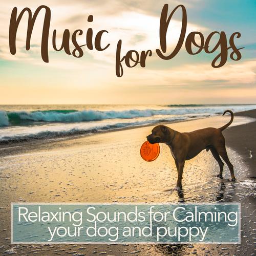 Relax my dog relaxing music 2024 for dogs