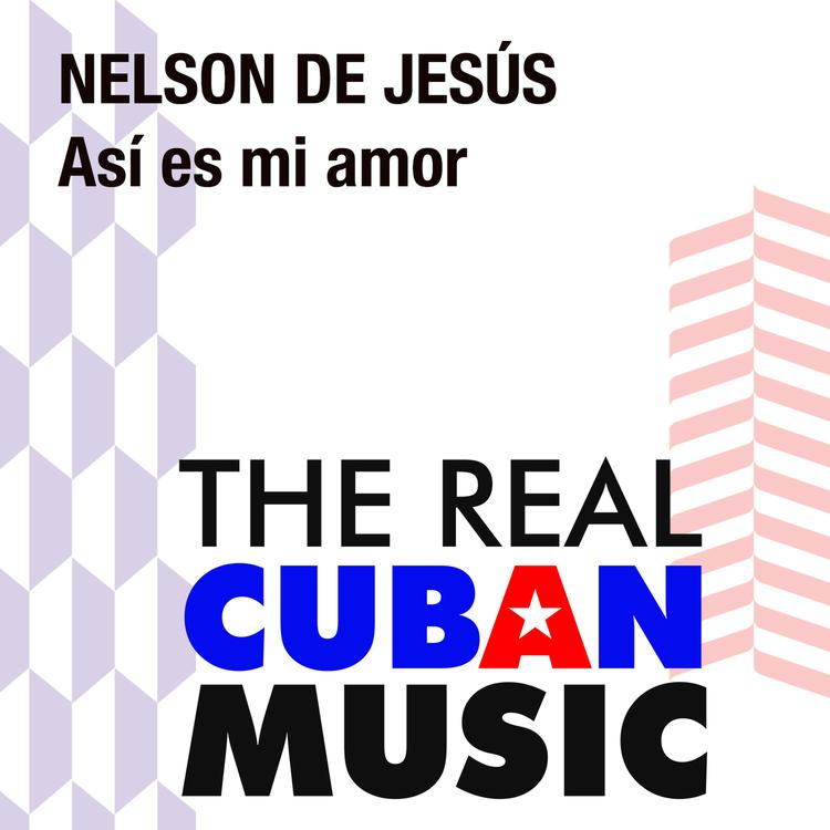 Nelson De Jesus's avatar image