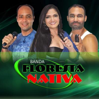 Tarde Demais / Baby Baby / Nego Lindo / Desprezo / Gringo Lindo By Banda Floresta Nativa's cover