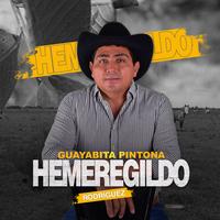 Hemeregildo Rodriguez's avatar cover