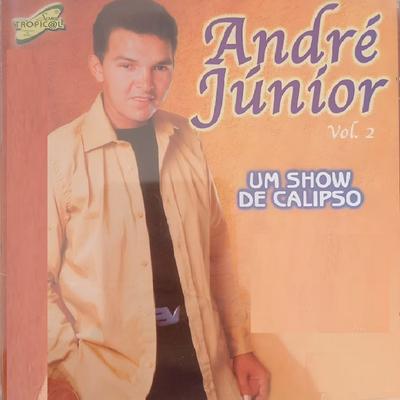 É Você Que Não Dá no Couro By André Junior's cover
