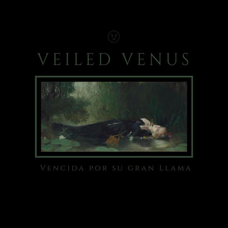 Veiled Venus's avatar image