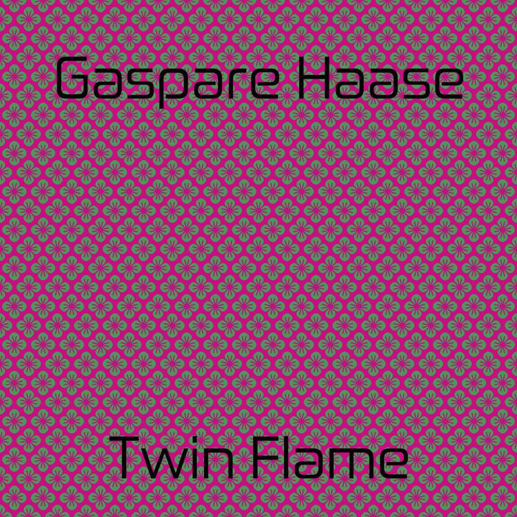 Gaspare Haase's avatar image