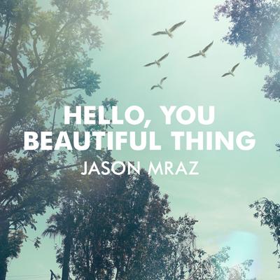 Hello, You Beautiful Thing By Jason Mraz's cover