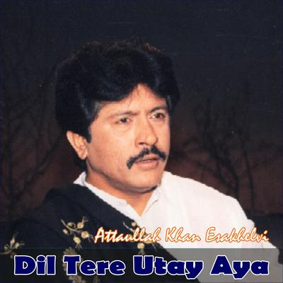 Dil Tere Utay Aya's cover