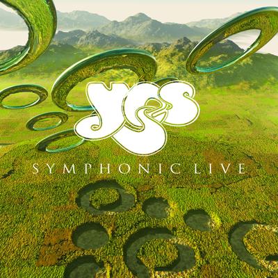 Owner of a Lonely Heart (Live) By Yes's cover