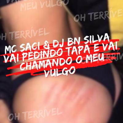 VAI PEDINDO TAPA E VAI CHAMANDO O MEU VULGO By DJ BN SILVA's cover