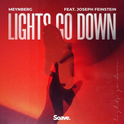 Lights Go Down By Meynberg, Joseph Feinstein's cover