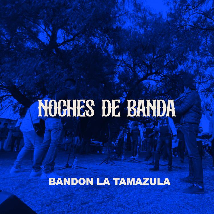 Bandon La Tamazula's avatar image