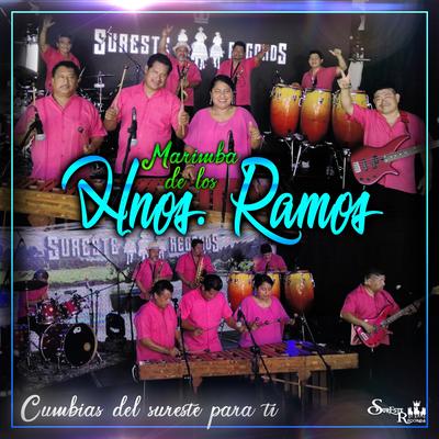 Cumbias Del Sureste Para Ti's cover