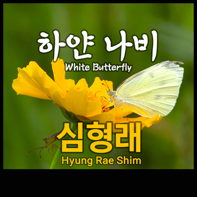 Hyung Rae Shim's avatar image