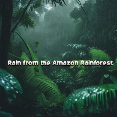 Rain from the Amazon Rainforest's cover