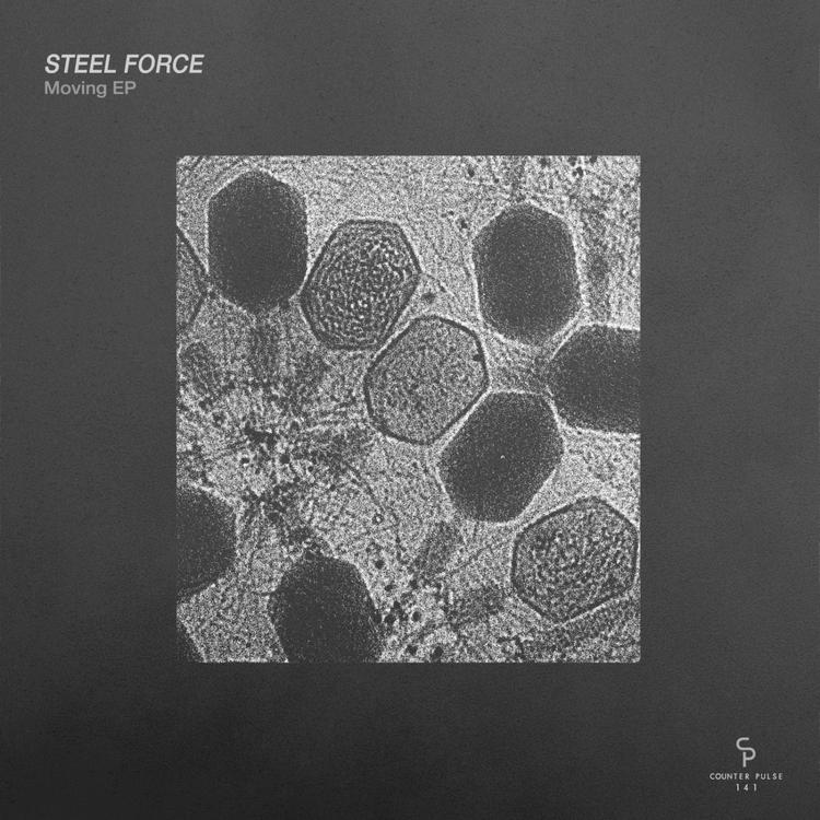 Steel Force's avatar image