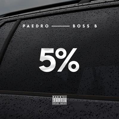 5%'s cover