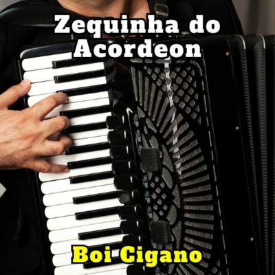 Só Dá Você na Minha Vida (Cover) By Zequinha do Acordeon's cover