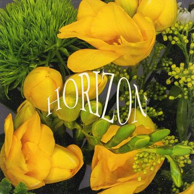 Horizon By Connor Caughlan, Erica Bear's cover