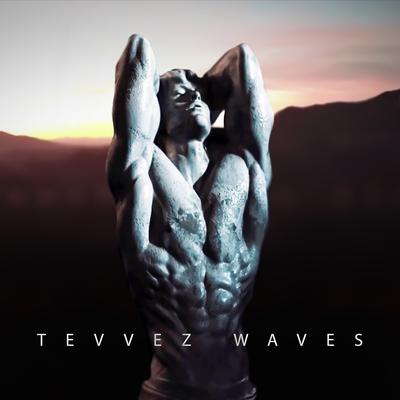 Waves's cover