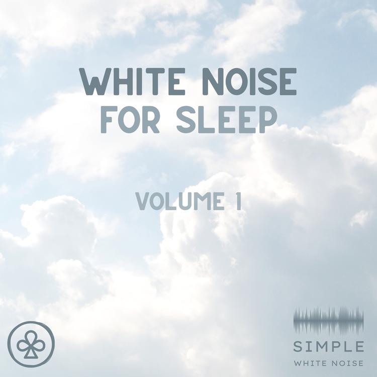 Simple White Noise's avatar image