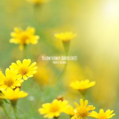 Yellow Flower (Radio Edit) By Peder B. Helland's cover