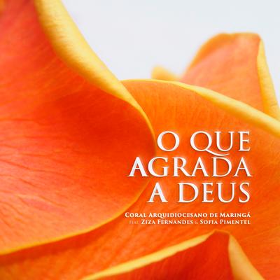 O Que Agrada a Deus's cover