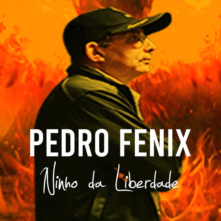 Pedro Fenix's avatar image