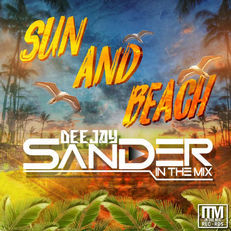 Dj Sander In The Mix's avatar image