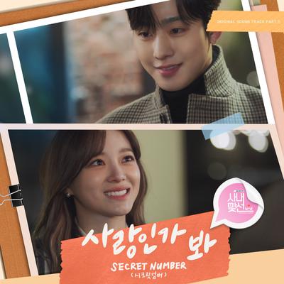 Love, Maybe (A Business Proposal OST Part.5)'s cover
