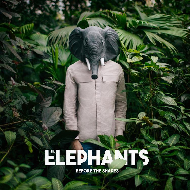 The Elephants's avatar image