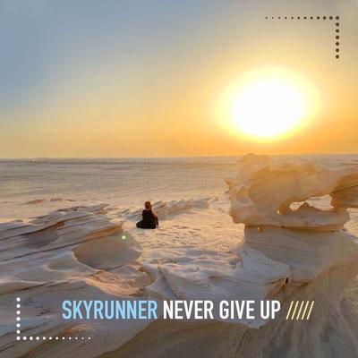 Never Give Up By Skyrunner's cover