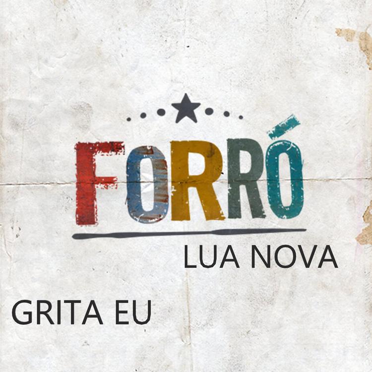 Forró Lua Nova's avatar image