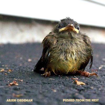 Pushed from the Nest's cover