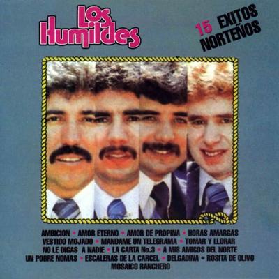 15 Éxitos Norteños's cover