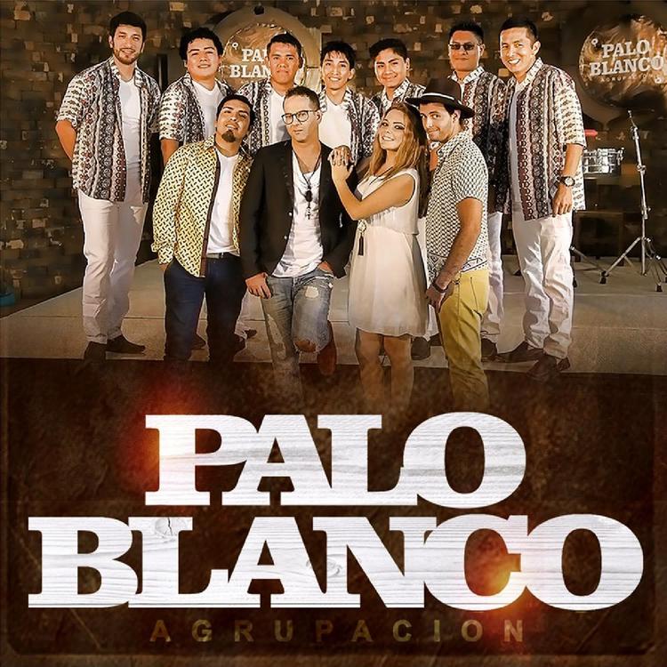 Palo Blanco's avatar image